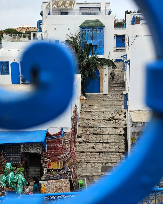 Sidi Bou Saïd
.
.
.
.
#nature #blue #youngnaturephotographers #onthetopoftheworld #adventure #ig_world_photo #sonyalpha #photography #Tunesia #wanderlust #outdoor #instapic #instalike #flower #door #toptags #theoutdoorfolk #nature_lovers #nature_brilliance  #amazing #view #trip #ig_world_colors #igs_world #awesome_photographers #theworldshotz  #beautifuldestinations  #allaroundtheworld #mytravel #happy